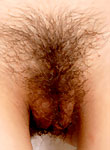 hairy pussy, hairy women, natural teens, unshaven