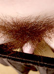 Unshaven hairy pussy pie