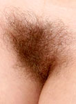 Hairy cutie spreads bush